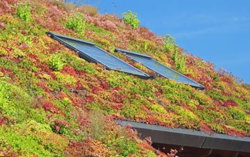 Swanton Abbott living roof systems