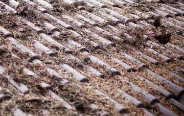 Swanton Abbott roof cleaning companies