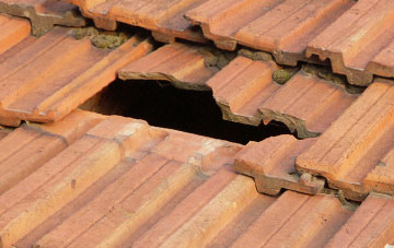 roof repair Swanton Abbott, Norfolk