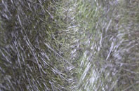 Swanton Abbott fibreglass roof work